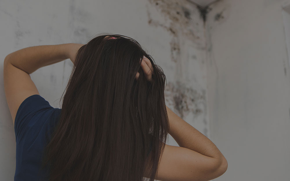 Mold inspection in Miami